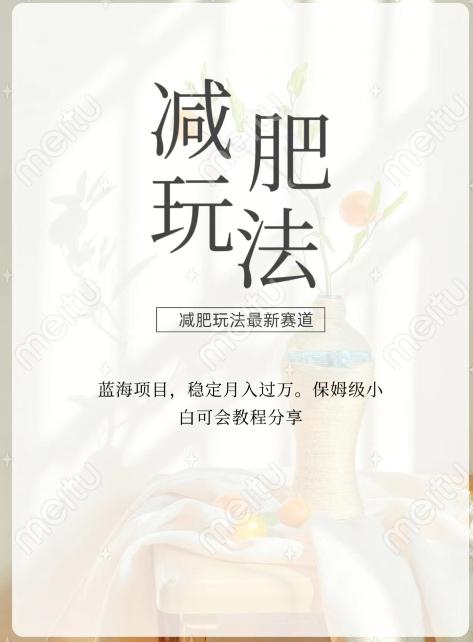 减肥流量主新玩法，轻松月入1W，可矩阵操作收入翻倍-rose网创