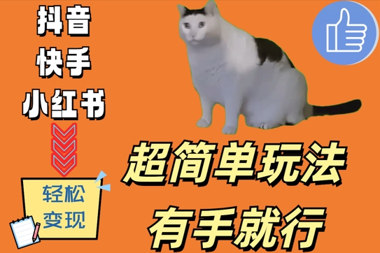 超简单玩法,有手就行,靠猫咪视频日入500+【揭秘】-rose网创