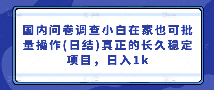 国内问卷调查小白在家也可批量操作(日结)真正的长久稳定项目，日入1k【揭秘】-rose网创