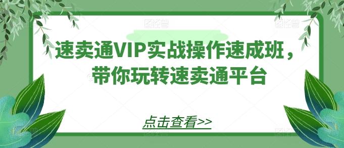 速卖通VIP实战操作速成班，带你玩转速卖通平台-rose网创