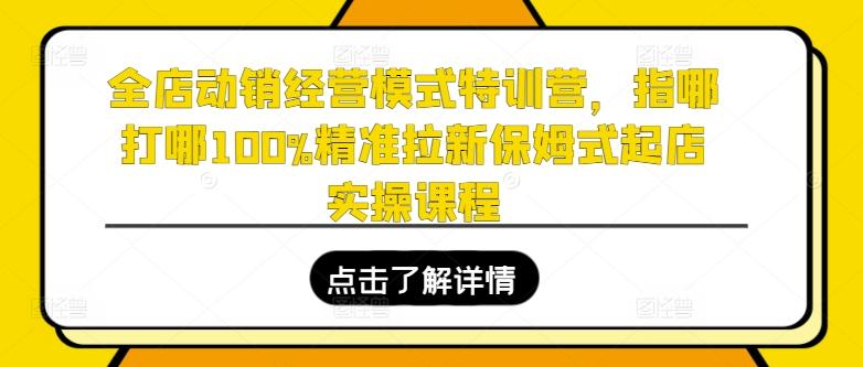 全店动销经营模式特训营，指哪打哪100%精准拉新保姆式起店实操课程-rose网创