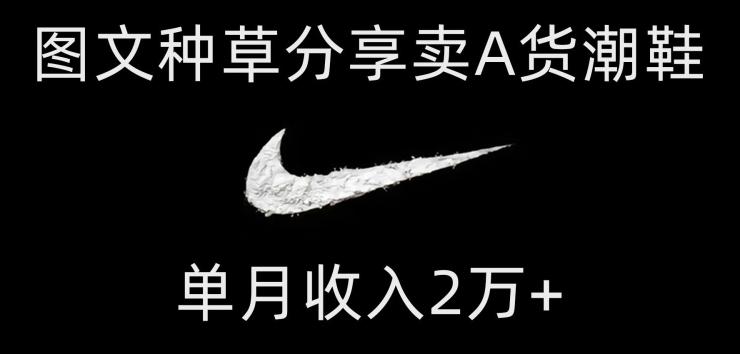 靠图文种草分享卖A货潮鞋，每天一小时，单月收入2万+【揭秘】-rose网创