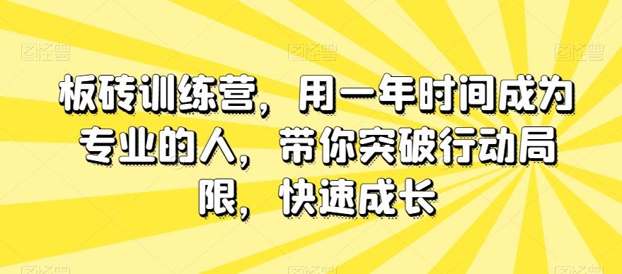 板砖训练营，用一年时间成为专业的人，带你突破行动局限，快速成长-rose网创