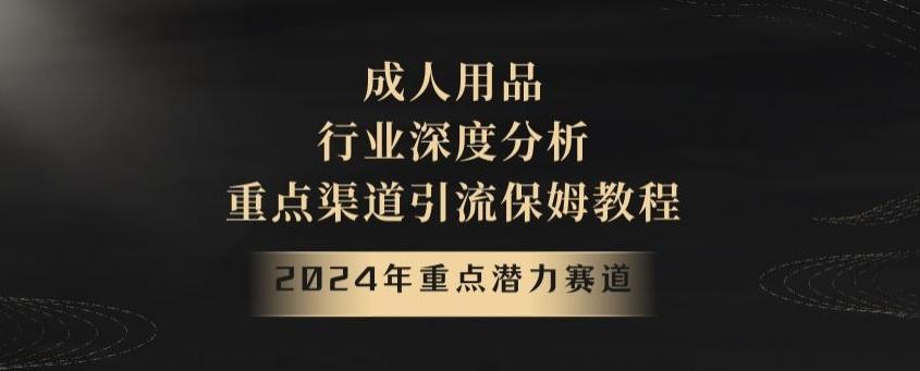 2024年重点潜力赛道，成人用品行业深度分析，重点渠道引流保姆教程【揭秘】-rose网创