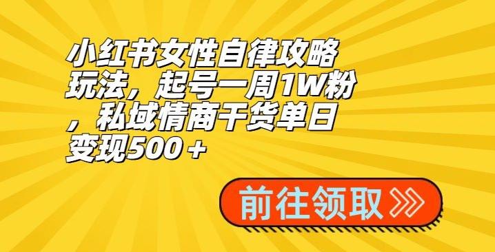 小红书女性自律攻略玩法，起号一周1W粉，私域情商干货单日变现500＋-rose网创
