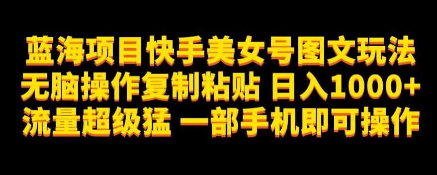 蓝海项目快手美女号图文玩法,无脑操作复制粘贴,日入1000+流量超级猛一部手机即可操作【揭秘】-rose网创