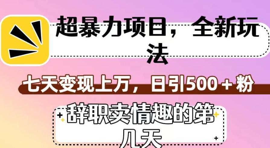 超暴利项目,全新玩法(辞职卖情趣的第几天),七天变现上万,日引500+粉【揭秘】-rose网创