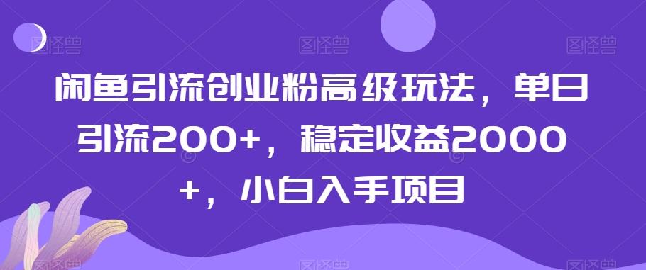 闲鱼引流创业粉高级玩法，单日引流200+，稳定收益2000+，小白入手项目-rose网创