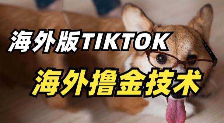 抖音海外版tiktok撸金技术，这个风口行业，赚钱真的不难【揭秘】-rose网创