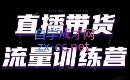 婉婉·直播带货课程系列合集(更新8月)-rose网创