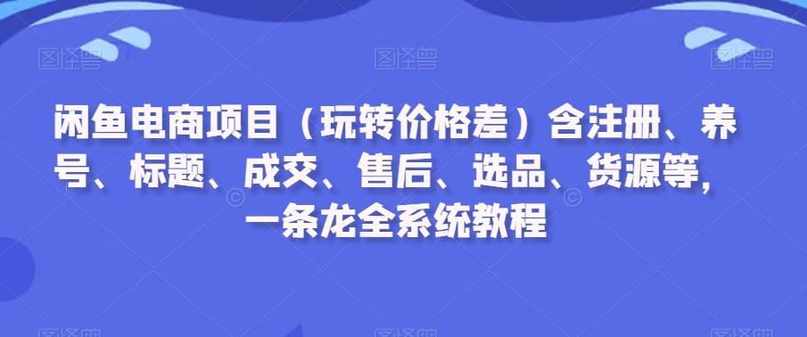 闲鱼电商项目(玩转价格差)含注册、养号、标题、成交、售后、选品、货源等，一条龙全系统教程-rose网创
