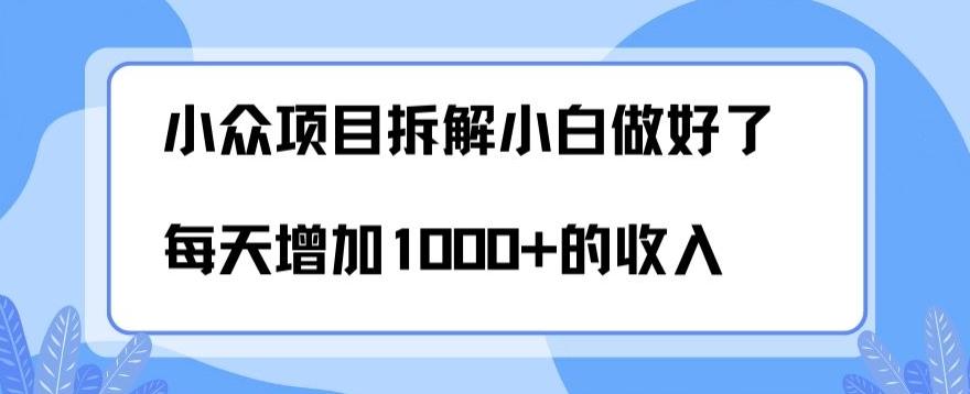 小众项目拆解,小白做好了每天可增加1000多的收入-rose网创