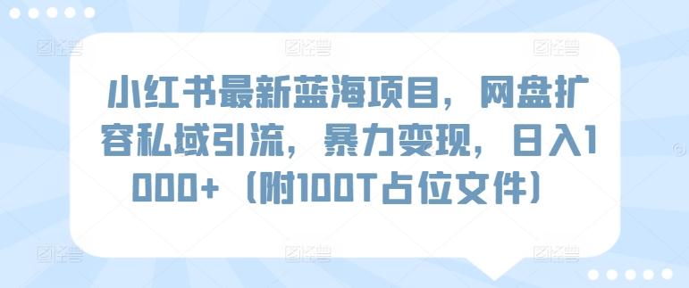 小红书最新蓝海项目，网盘扩容私域引流，暴力变现，日入1000+(附100T占位文件)【揭秘】-rose网创