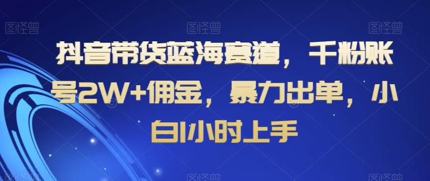 抖音带货蓝海赛道，千粉账号2W+佣金，暴力出单，小白1小时上手【揭秘】-rose网创