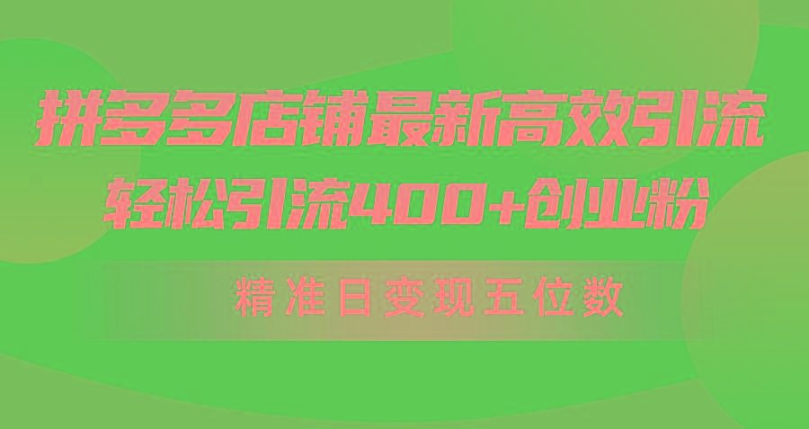 (10041期)拼多多店铺最新高效引流术，轻松引流400+创业粉，精准日变现五位数！-rose网创
