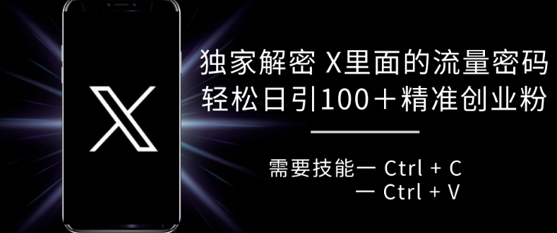 独家解密 X 里面的流量密码，复制粘贴轻松日引100+-rose网创