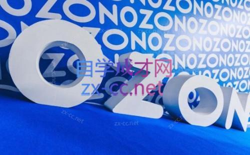 森哥·出海俄罗斯电商实操(2024)-rose网创