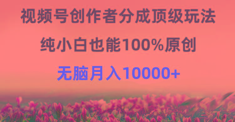 (9608期)视频号创作者分成顶级玩法，纯小白也能100%原创，无脑月入10000+-rose网创
