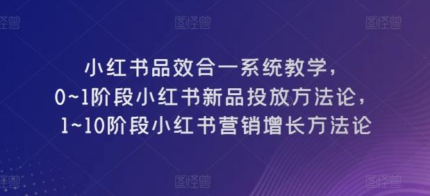 小红书品效合一系统教学,0~1阶段小红书新品投放方法论,1~10阶段小红书营销增长方法论-rose网创