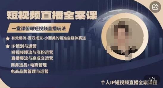 高品质IP短视频直播全案课程，一堂课俯瞰短视频直播玩法-rose网创