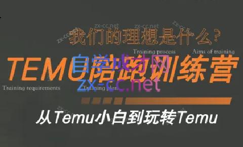 苗苗·拼多多跨境（temu）课程-rose网创
