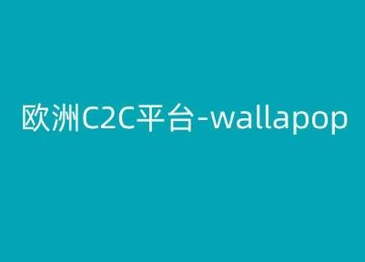 欧洲C2C平台-wallapop-kim跨境电商教程-rose网创
