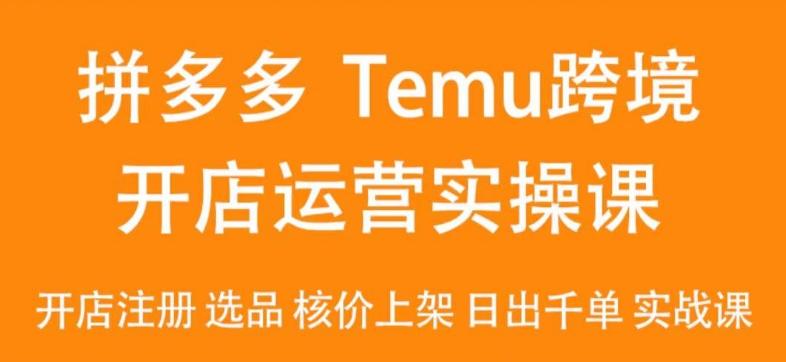2024Temu最新玩法，Temu跨境开店运营实操课，开店注册/选品/核价上架/日出千单实战课-rose网创