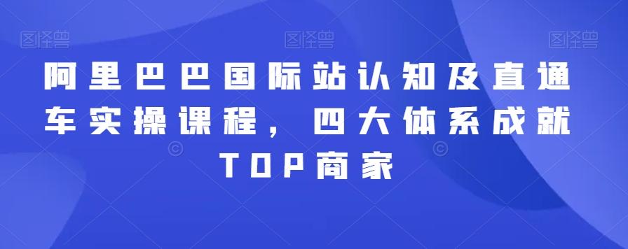 阿里巴巴国际站认知及直通车实操课程,四大体系成就TOP商家-rose网创