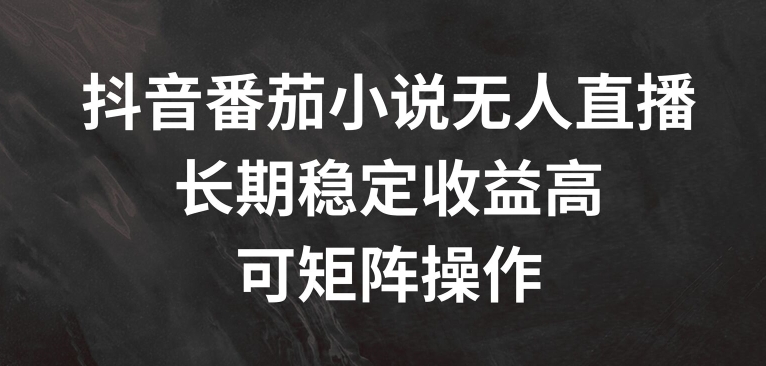 抖音番茄小说无人直播，长期稳定收益高，可矩阵操作【揭秘】-rose网创