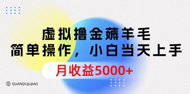 (9864期)虚拟撸金薅羊毛，简单操作，小白当天上手，月收益5000+-rose网创