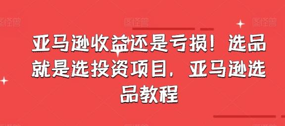 亚马逊收益还是亏损!选品就是选投资项目,亚马逊选品教程-rose网创