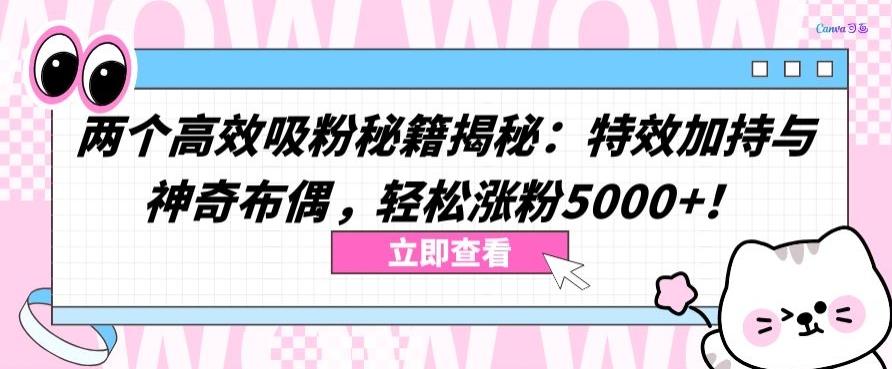 两个高效吸粉秘籍揭秘：特效加持与神奇布偶，轻松涨粉5000+【揭秘】-rose网创