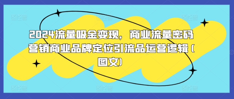 2024流量吸金变现，商业流量密码营销商业品牌定位引流品运营逻辑(图文)-rose网创