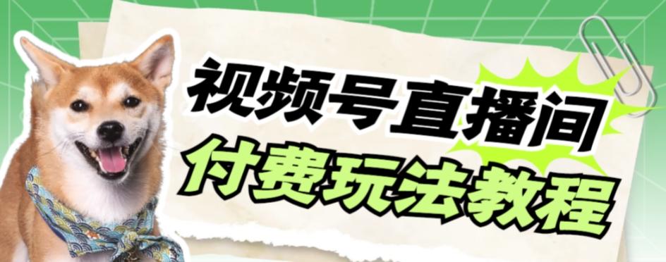 视频号美女付费无人直播，轻松日入500+【详细玩法教程】-rose网创