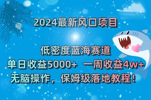 (8545期)2024最新风口项目 低密度蓝海赛道，日收益5000+周收益4w+ 无脑操作，保…-rose网创