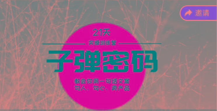 《子弹密码训练营》-用一句话文案勾人勾心卖产品，21天学到顶尖文案大师策略和技巧-rose网创