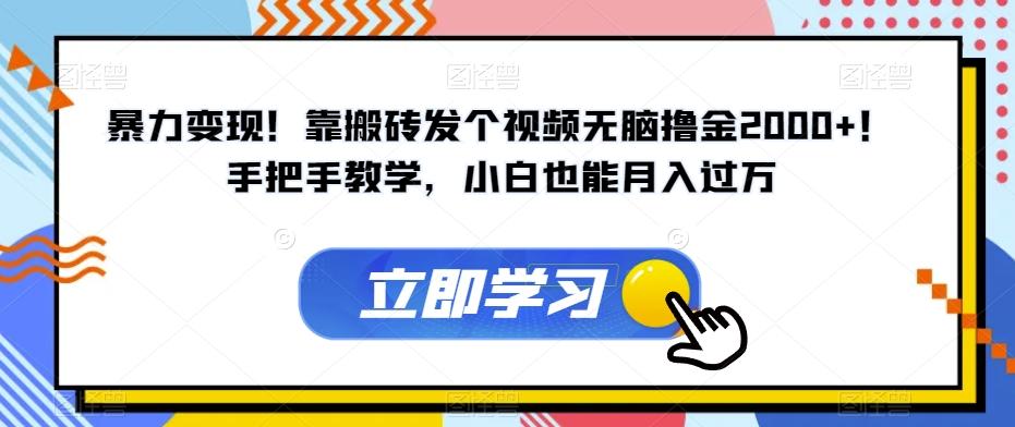暴力变现!靠搬砖发个视频无脑撸金2000+!手把手教学,小白也能月入过万【揭秘】-rose网创