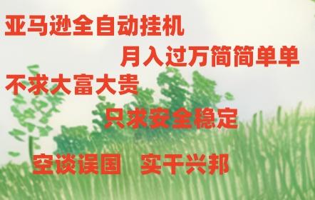 亚马逊全自动浏览挂机，，收益稳定且前景广阔-rose网创