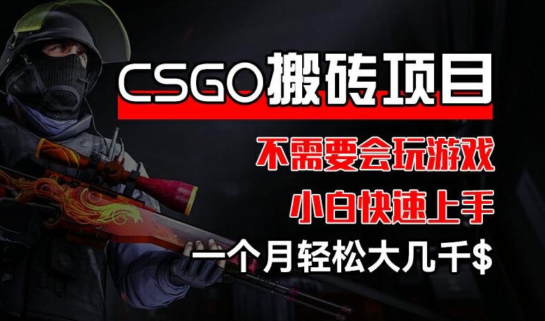 CSGO 装备搬砖项目,操作简单,不需要会玩游戏,小白也能快速上手,一个月轻松大几千【揭秘】-rose网创
