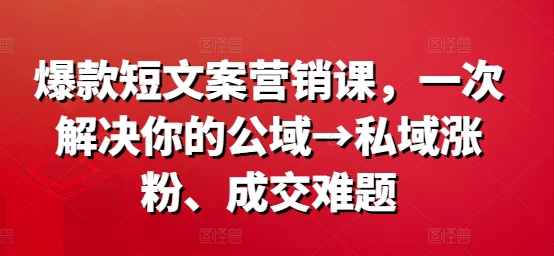 爆款短文案营销课，一次解决你的公域→私域涨粉、成交难题-rose网创