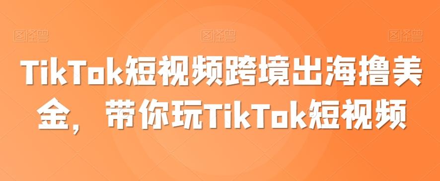 TikTok短视频跨境出海撸美金,带你玩TikTok短视频-rose网创