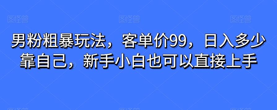 男粉粗暴玩法，客单价99，日入多少靠自己，新手小白也可以直接上手-rose网创
