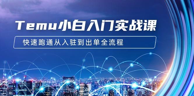 (9295期)Temu小白入门实战课:跨境拼多多电商培训 快速跑通从入驻到出单全流程-12节-rose网创