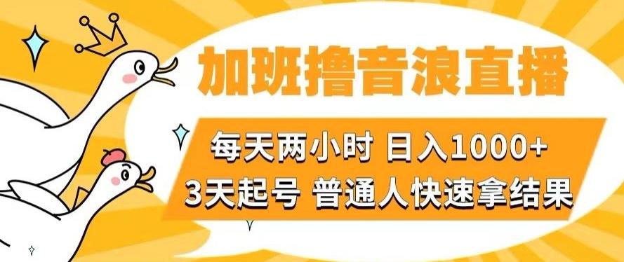 加班撸音浪直播,每天两小时,日入1000+,直播话术才3句,3天起号,普通人快速拿结果【揭秘】-rose网创