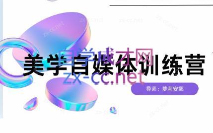 安娜·美学自媒体IP系统课-rose网创