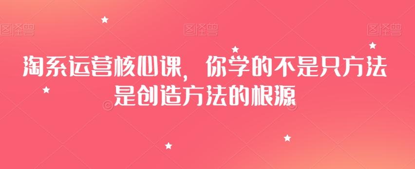 淘系运营核心课，你学的不是只方法是创造方法的根源-rose网创