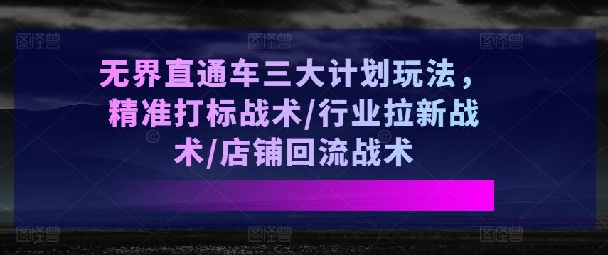 无界直通车三大计划玩法，精准打标战术/行业拉新战术/店铺回流战术-rose网创