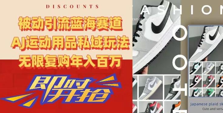 被动引流蓝海赛道,AJ运动用品私域玩法,无限复购年入百万【揭秘】-rose网创