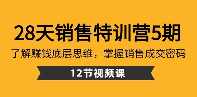 28天销售特训营5期：了解赚钱底层思维，掌握销售成交密码（12节课）-rose网创