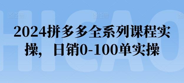 2024拼多多全系列课程实操，日销0-100单实操【必看】-rose网创